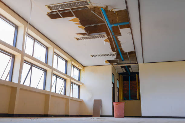 Best Basement water damage restoration  in Wild Peach Village, TX