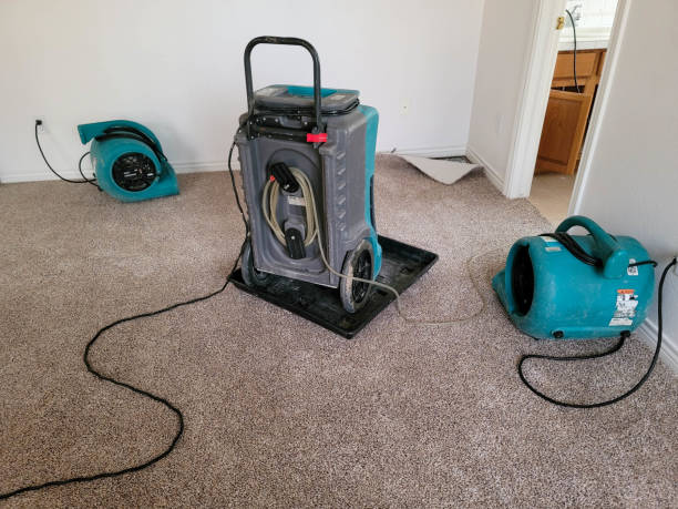 Best Ceiling water damage repair  in Wild Peach Village, TX