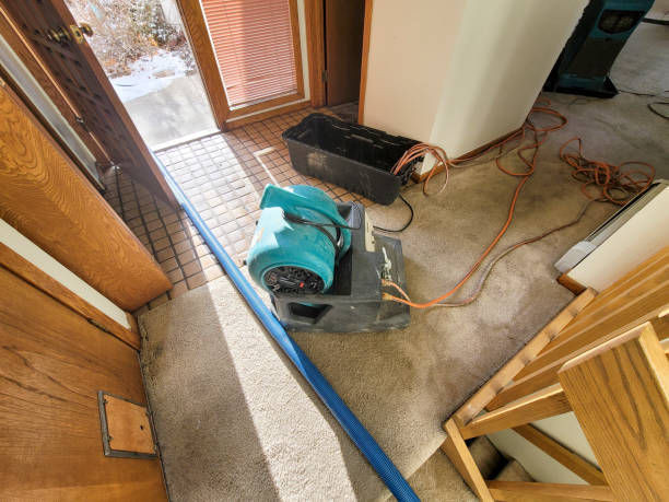 Best Sewage cleanup and water damage restoration  in Wild Peach Village, TX