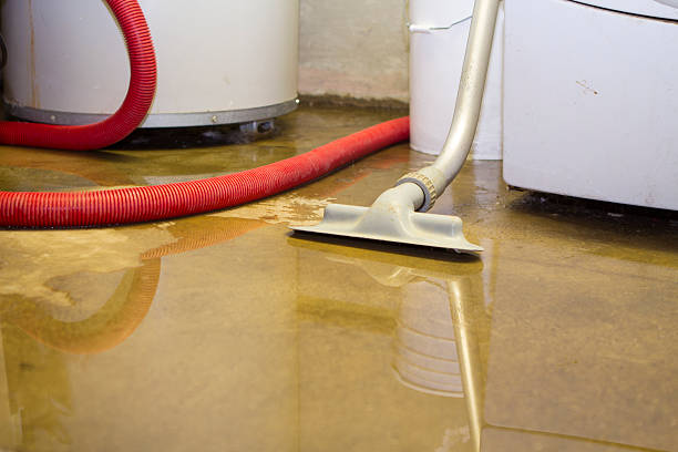 Best Water damage contractors near me  in Wild Peach Village, TX